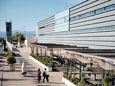 Real Instituto Universitario de Estudios Europeos